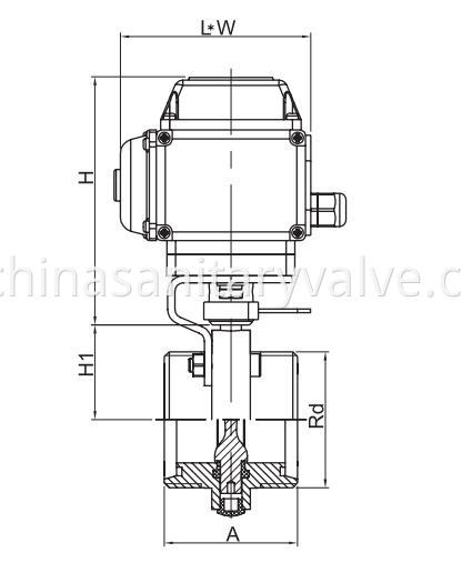 DIN Sanitary Electric Actuator Butterfly Valves Male end